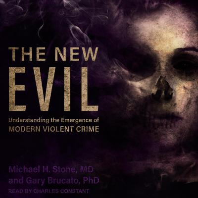 The New Evil by Michael H. Stone audiobook
