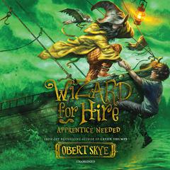 Apprentice Needed by Obert Skye audiobook