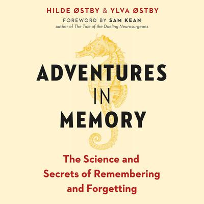 Adventures in Memory by Hilde Østby audiobook