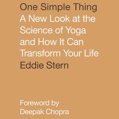 One Simple Thing by Eddie Stern audiobook