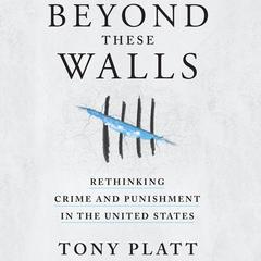 Beyond These Walls by Tony Platt audiobook