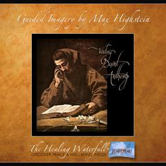 Visiting Saint Anthony by Max Highstein audiobook