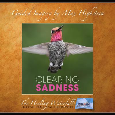 Clearing Sadness by Max Highstein audiobook