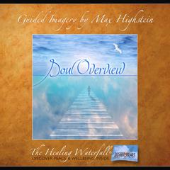 Soul Overview by Max Highstein audiobook