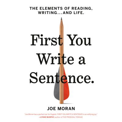 First You Write a Sentence by Joe Moran audiobook