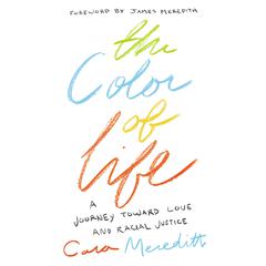 The Color of Life by Cara Meredith audiobook