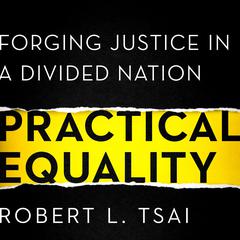 Practical Equality by Robert Tsai audiobook
