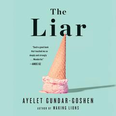 The Liar by Ayelet Gundar-Goshen audiobook