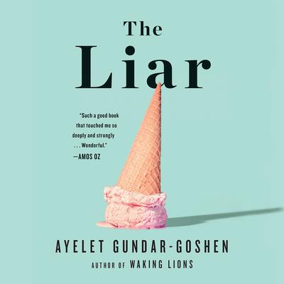 The Liar by Ayelet Gundar-Goshen audiobook