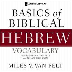 Basics of Biblical Hebrew Vocabulary Audio by Miles V. Van Pelt audiobook