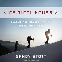 Critical Hours by Sandy Stott audiobook