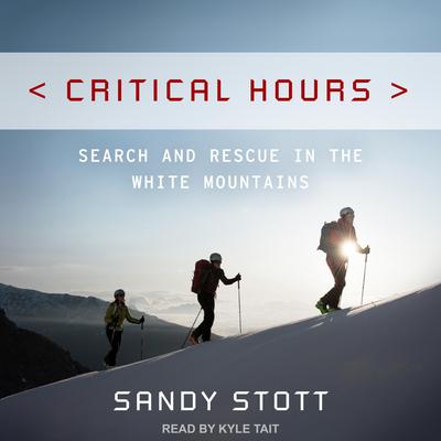 Critical Hours by Sandy Stott audiobook