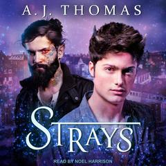 Strays by AJ Thomas audiobook