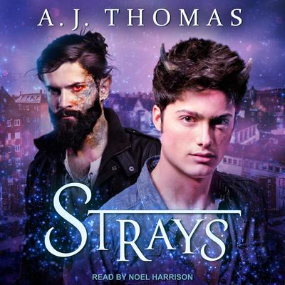 Strays by AJ Thomas audiobook