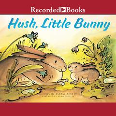 Hush, Little Bunny by David Ezra Stein audiobook