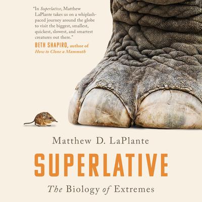 Superlative by Matthew D. LaPlante audiobook