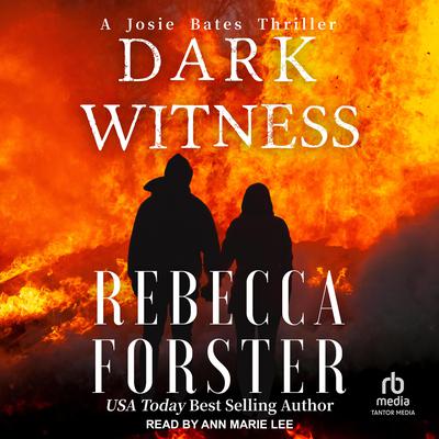 Dark Witness by Rebecca Forster audiobook