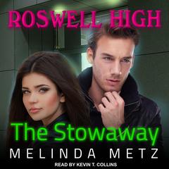 The Stowaway by Melinda Metz audiobook