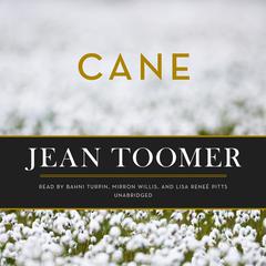 Cane by Jean Toomer audiobook