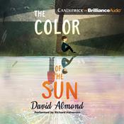 The Color of the Sun by  David Almond audiobook