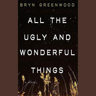 All the Ugly and Wonderful Things by Bryn Greenwood audiobook