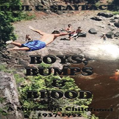 Boys, Bumps and Blood by Paul C. Slayback audiobook
