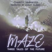 The Maze by  Charity Tahmaseb audiobook