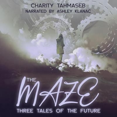 The Maze by Charity Tahmaseb audiobook