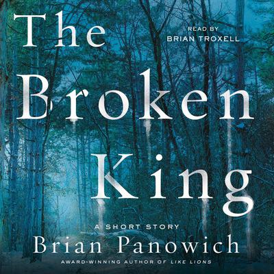 The Broken King by Brian Panowich audiobook