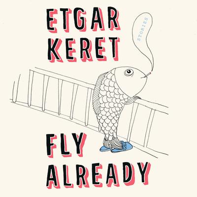 Fly Already by Etgar Keret audiobook