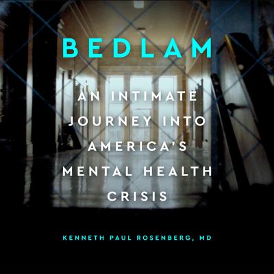 Bedlam by Kenneth Paul Rosenberg audiobook