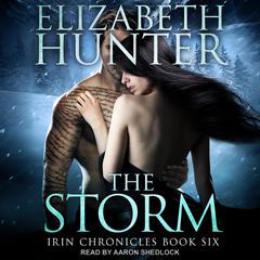 The Storm by Elizabeth Hunter audiobook