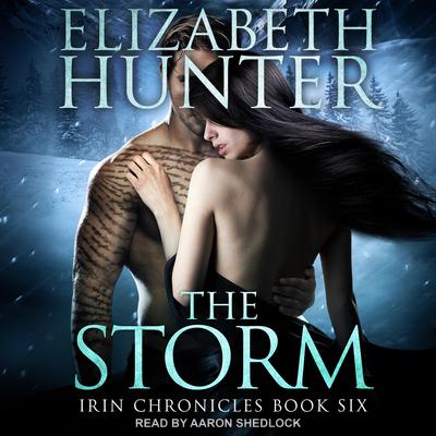 The Storm by Elizabeth Hunter audiobook