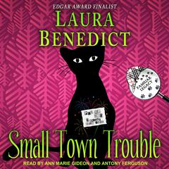 Small Town Trouble by Laura Benedict audiobook