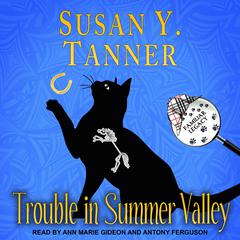 Trouble in Summer Valley by Susan Y. Tanner audiobook