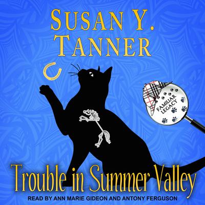 Trouble in Summer Valley by Susan Y. Tanner audiobook