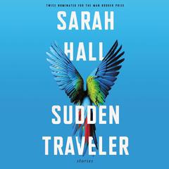 Sudden Traveler by Sarah Hall audiobook