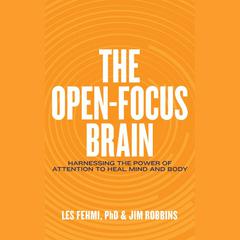 The Open-Focus Brain by Les Fehmi audiobook