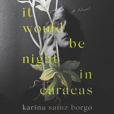 It Would Be Night in Caracas by Karina Sainz Borgo audiobook