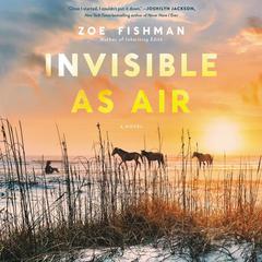 Invisible as Air by Zoe Fishman audiobook
