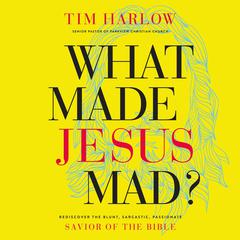 What Made Jesus Mad? by Tim Harlow audiobook