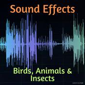 Sound Effects: Birds, Animals & Insects by  Listen & Live Audio audiobook