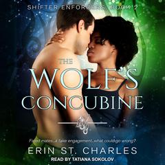 The Wolf's Concubine by Erin St. Charles audiobook