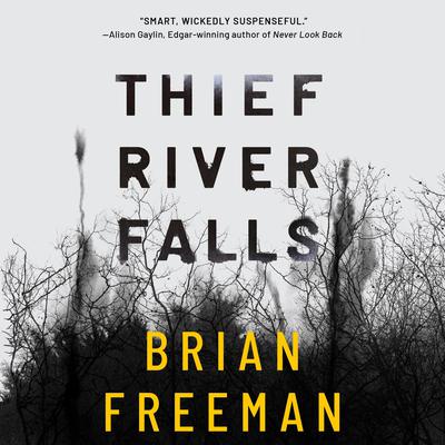 Thief River Falls by Brian Freeman audiobook