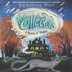 The Collectors #2: A Storm of Wishes by Jacqueline West audiobook