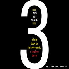 Three Laws of Nature by R. Stephen Berry audiobook