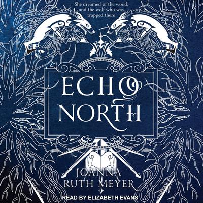 Echo North by Joanna Ruth Meyer audiobook