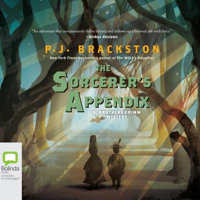 The Sorcerer’s Appendix by P. J. Brackston audiobook