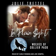 In Plain Sight by Julie Trettel audiobook