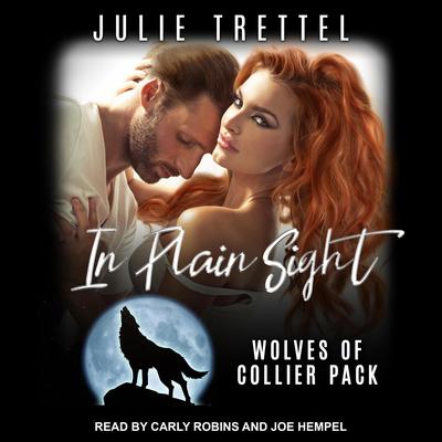 In Plain Sight by Julie Trettel audiobook